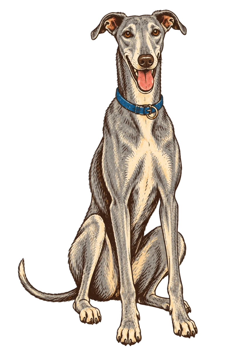 Vintage screen-print illustration representing Greyhound
