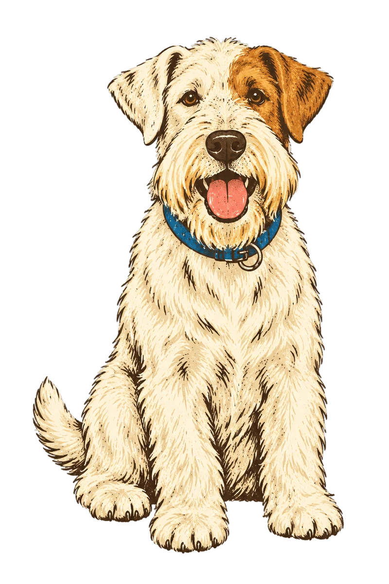 Vintage screen-print illustration representing Sealyham Terrier