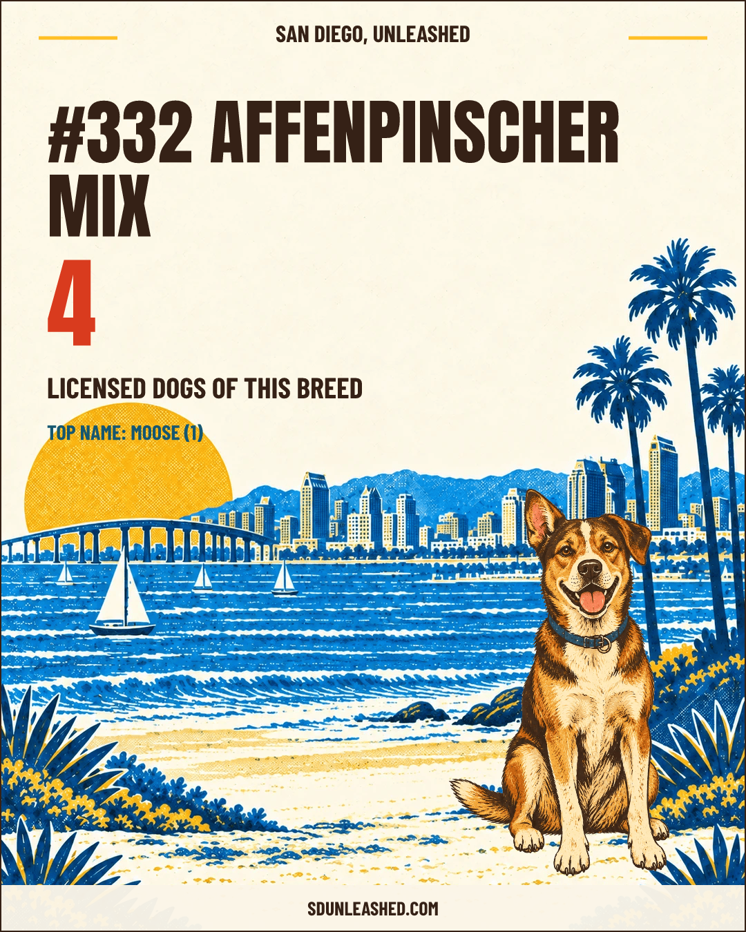 Affenpinscher Mix share card