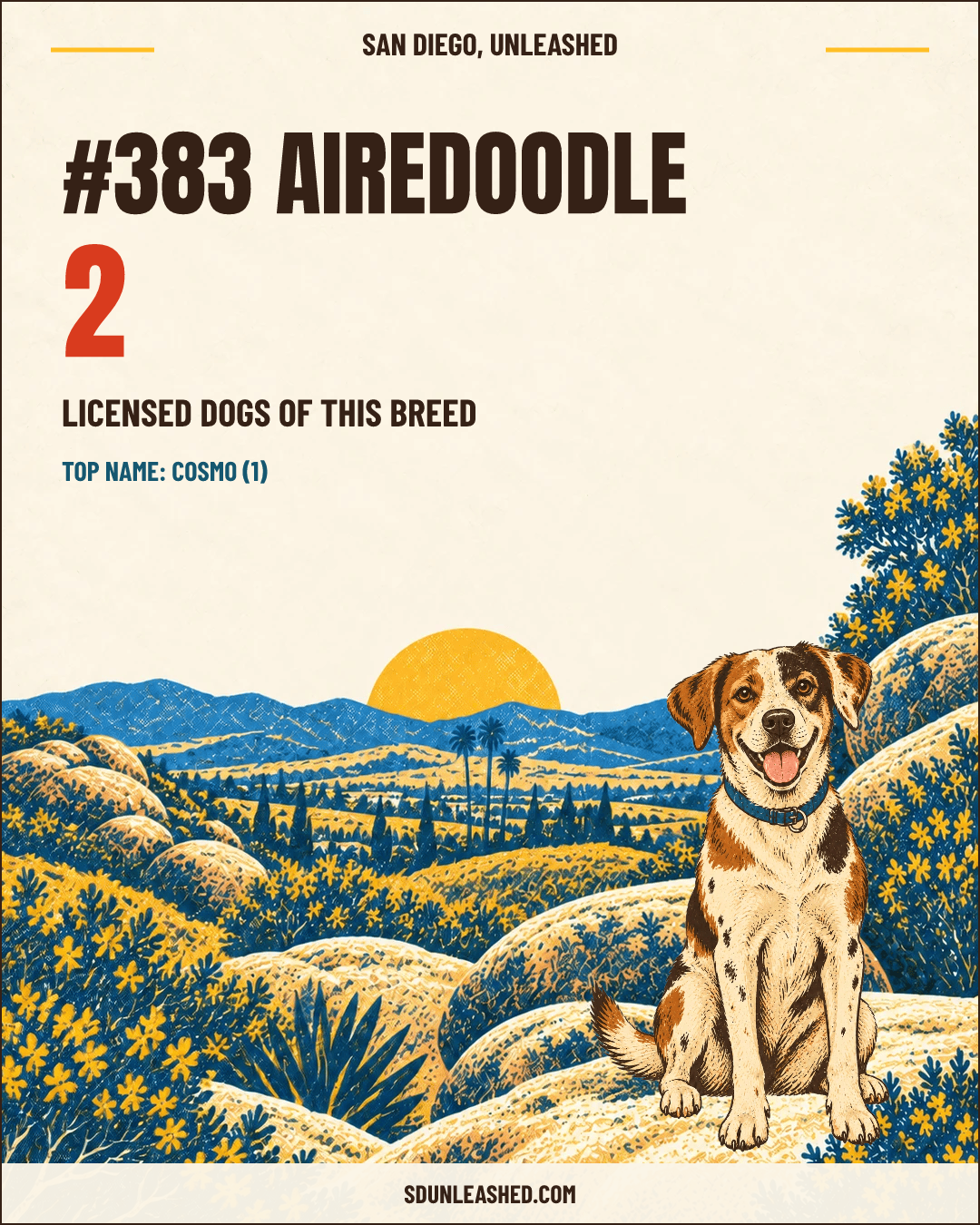 Airedoodle share card