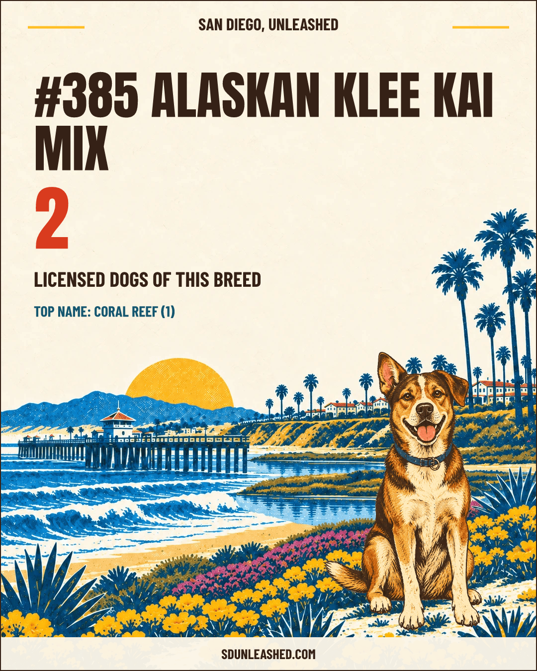 Alaskan Klee Kai Mix share card