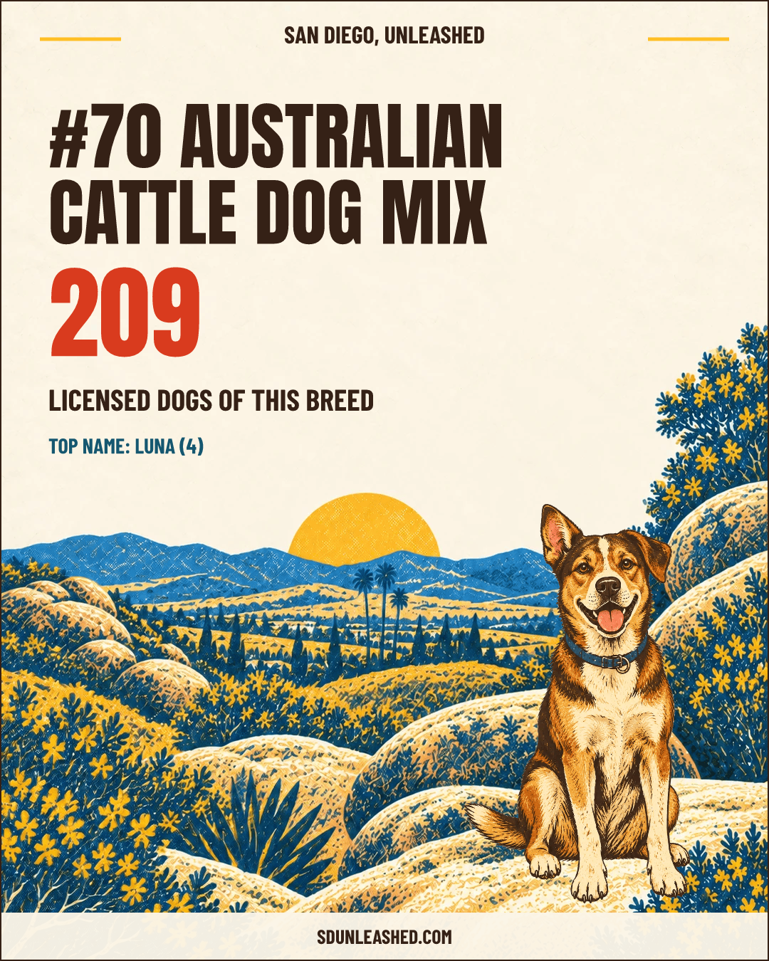 Australian Cattle Dog Mix share card