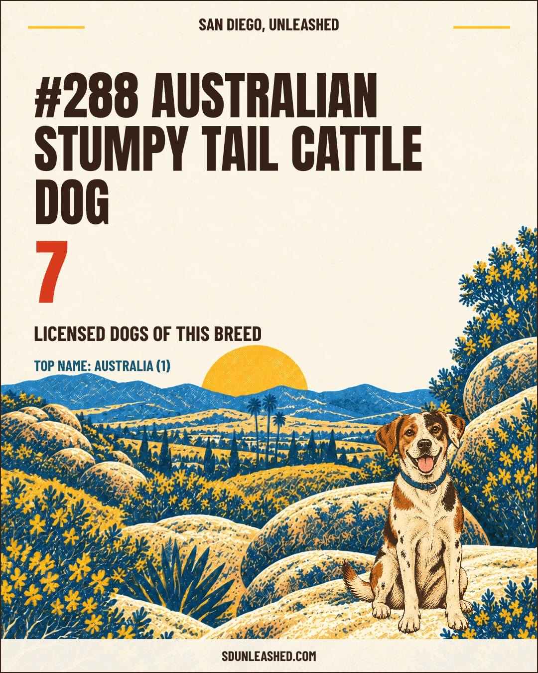 Australian Stumpy Tail Cattle Dog share card