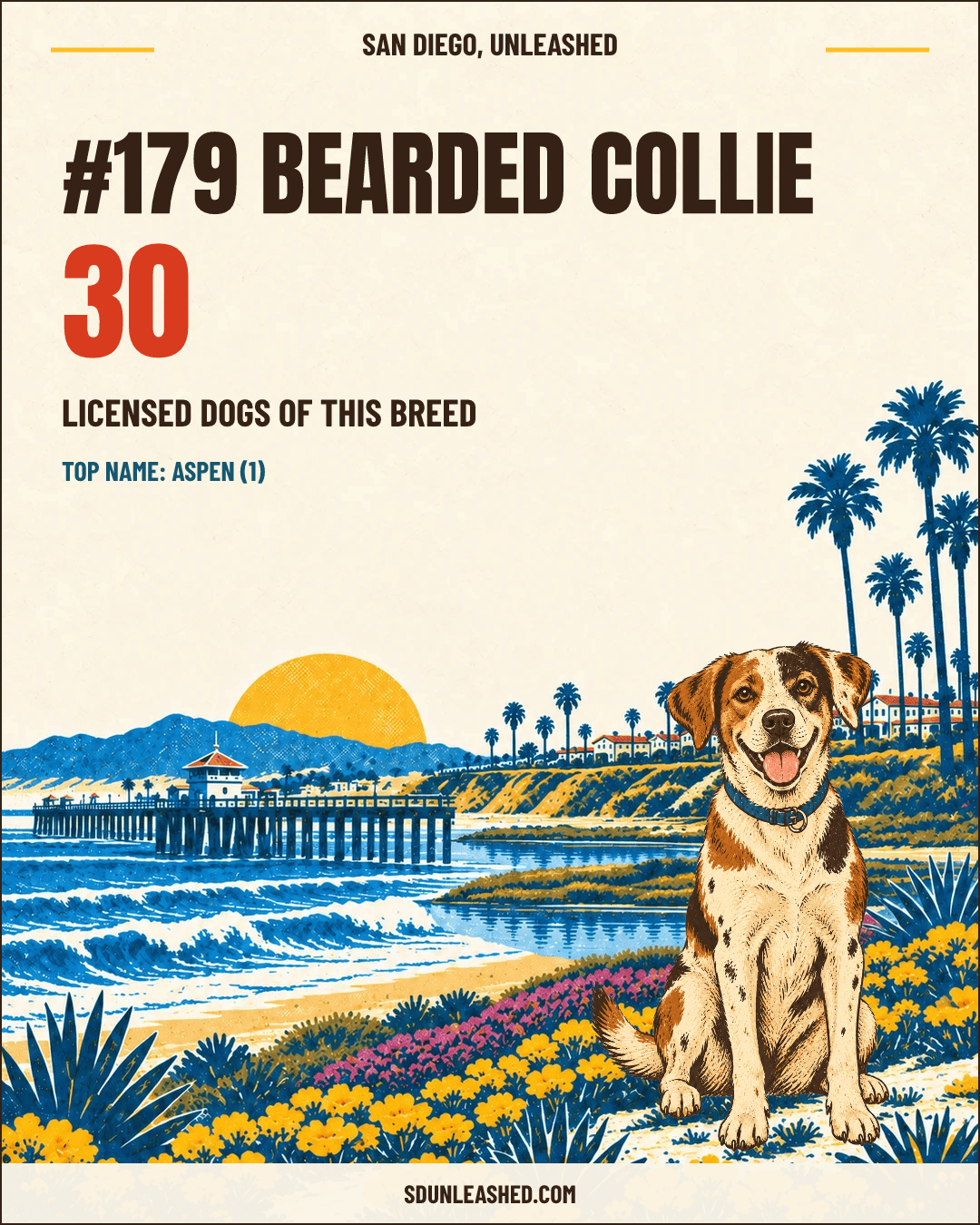 Bearded Collie share card