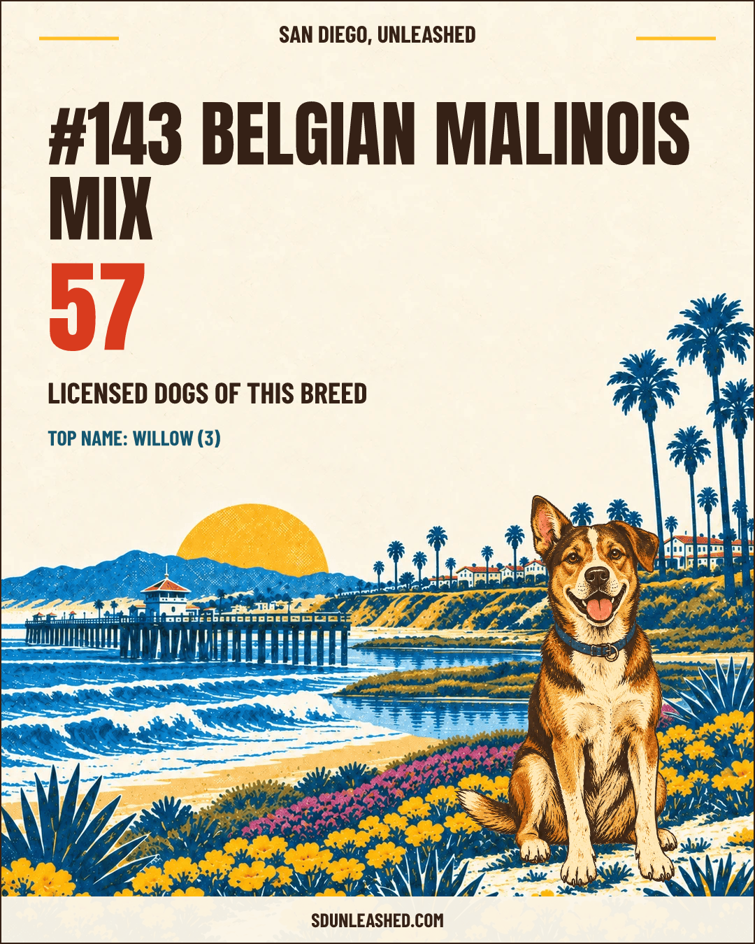 Belgian Malinois Mix share card