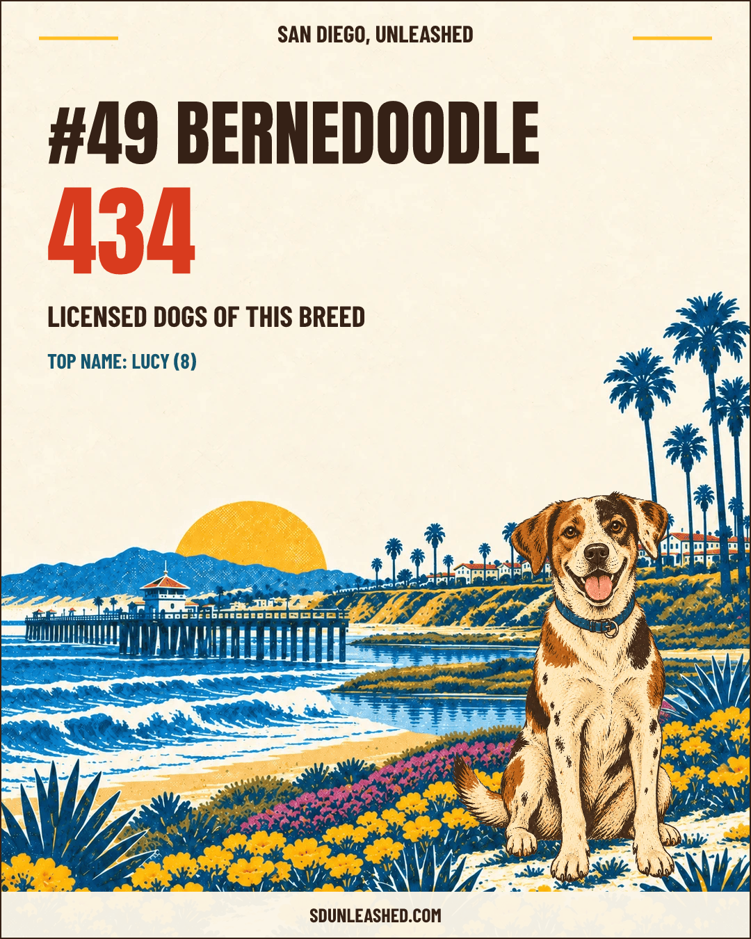 Bernedoodle share card