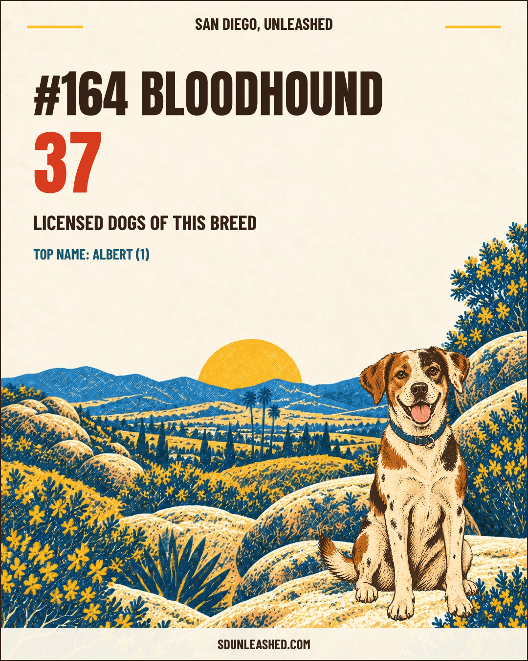 Bloodhound share card