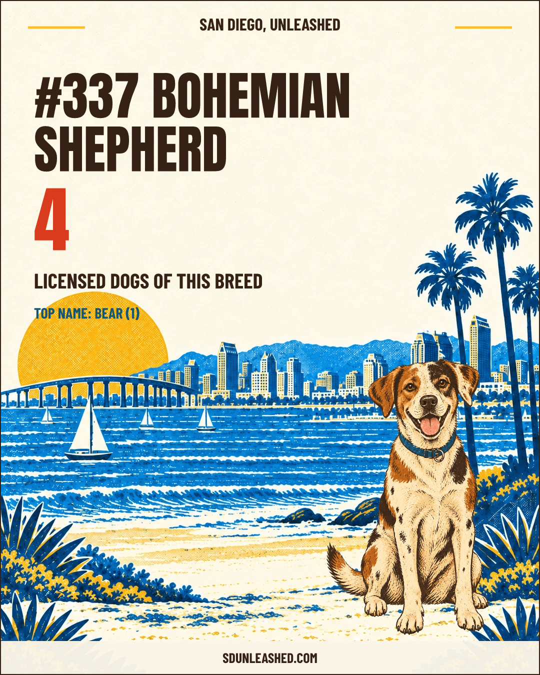 Bohemian Shepherd share card