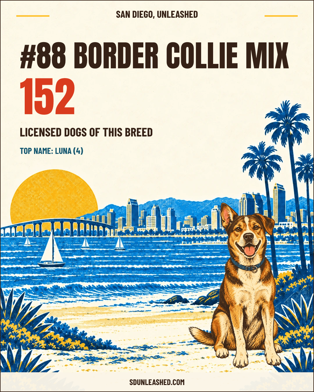 Border Collie Mix share card