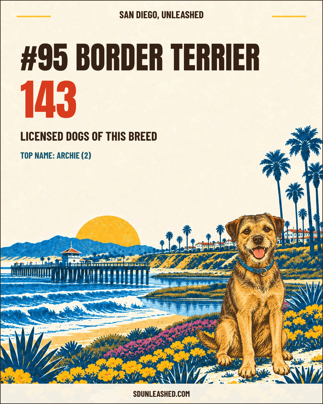 Border Terrier share card
