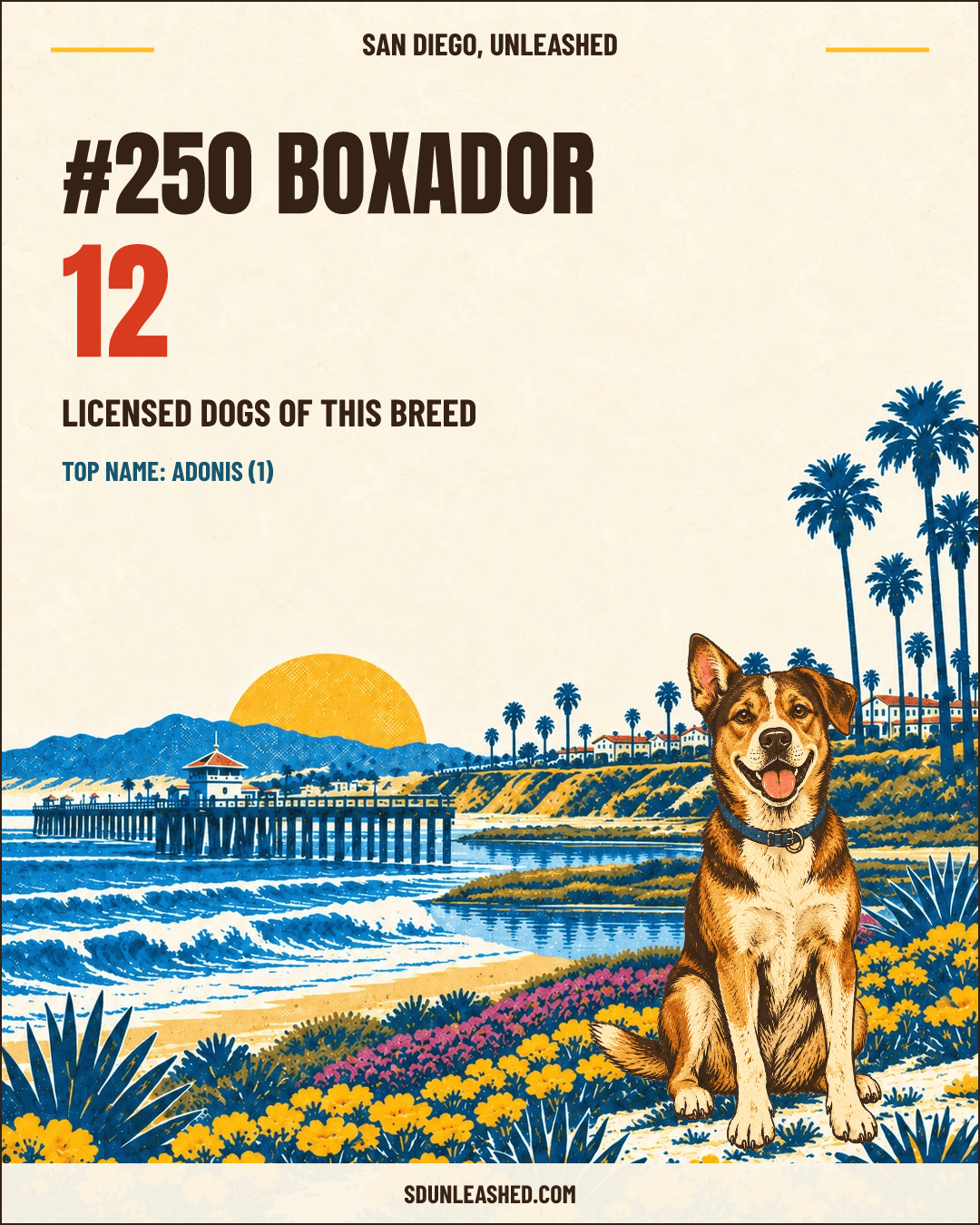 Boxador share card