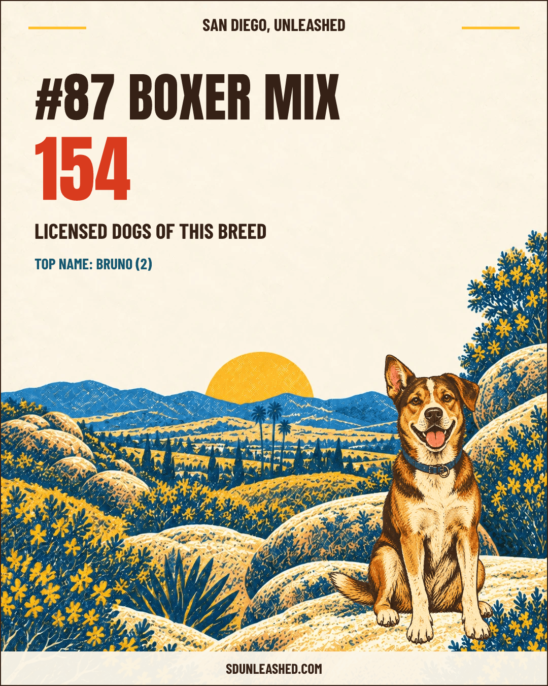 Boxer Mix share card