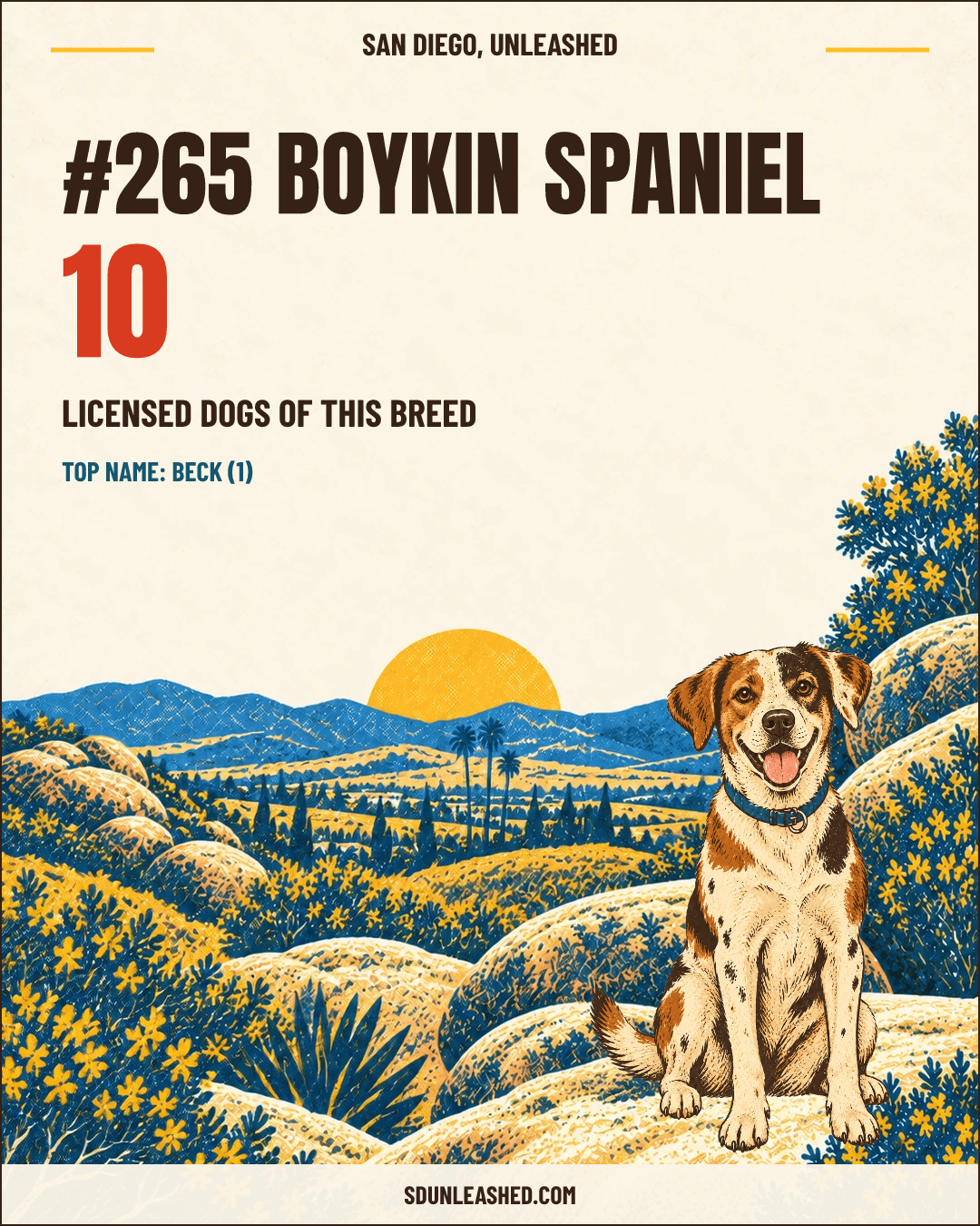 Boykin Spaniel share card