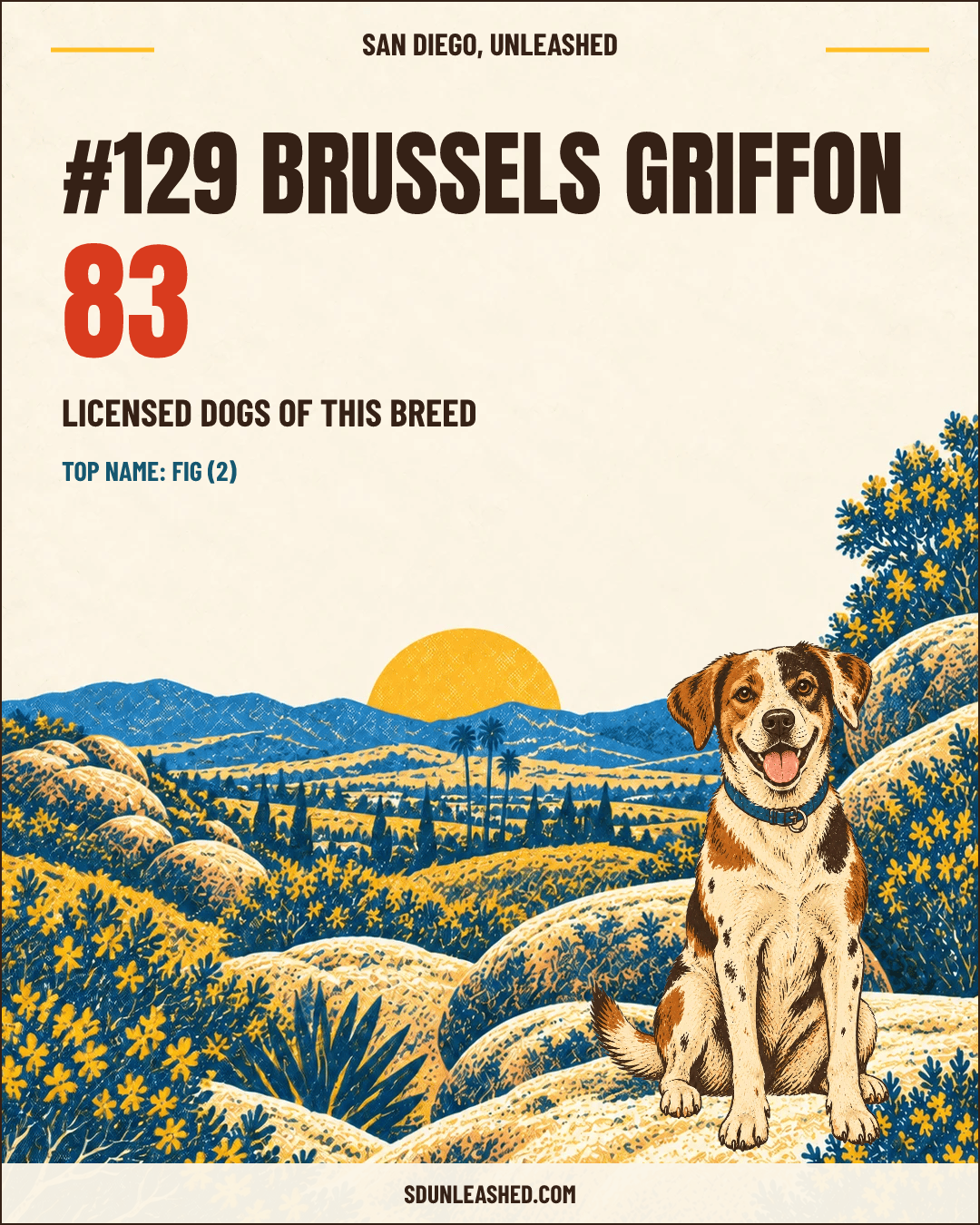 Brussels Griffon share card