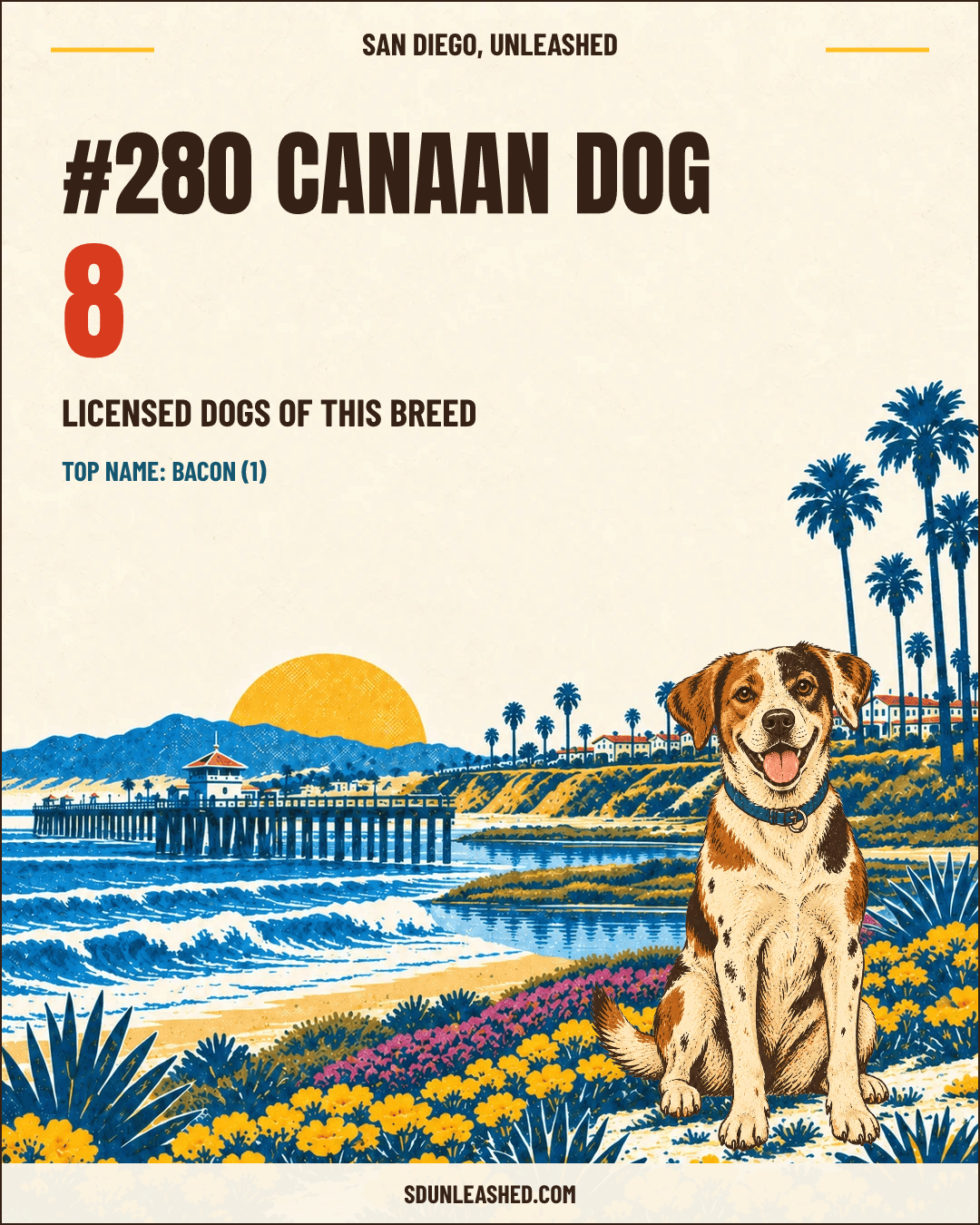 Canaan Dog share card