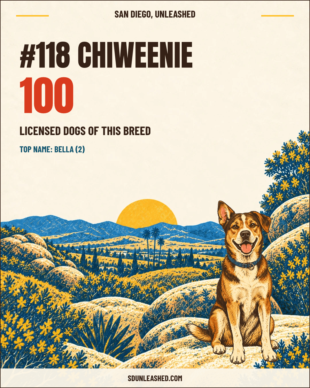Chiweenie share card