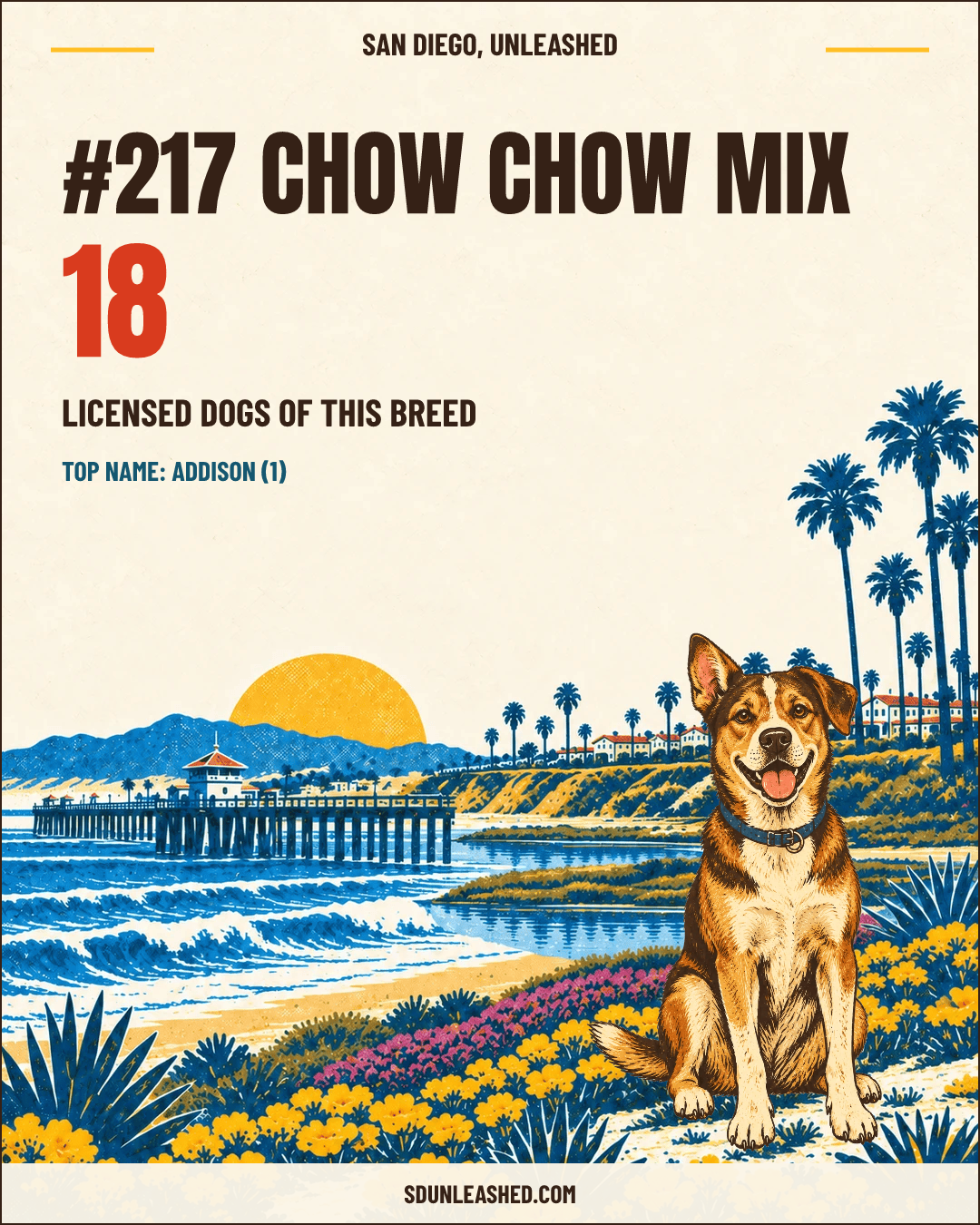 Chow Chow Mix share card
