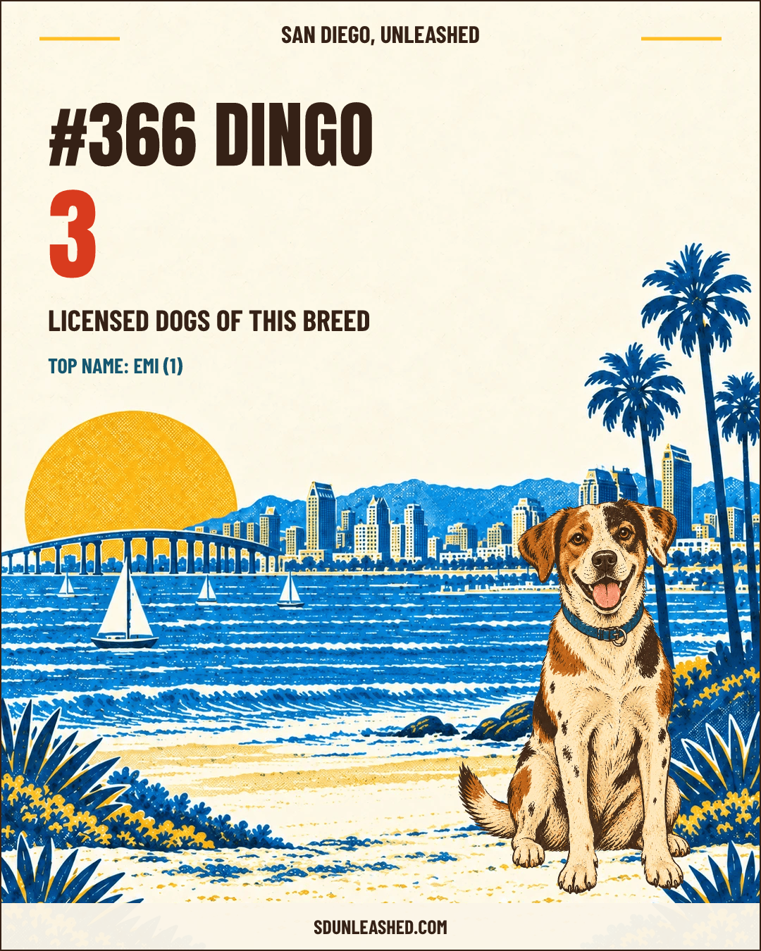 Dingo share card
