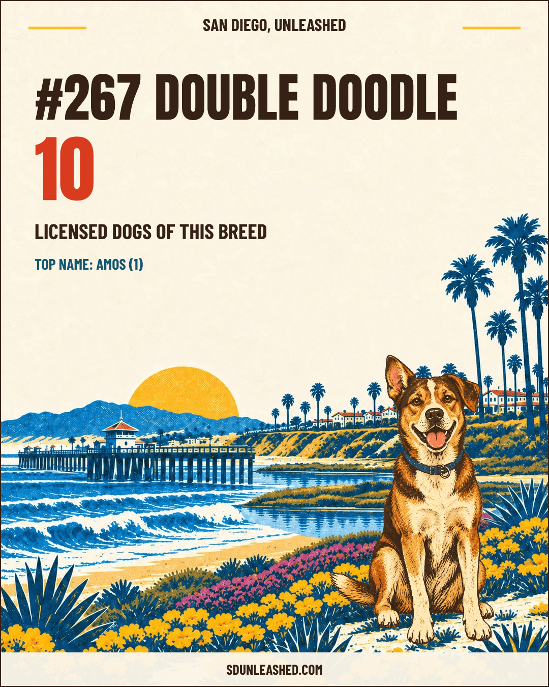Double Doodle share card