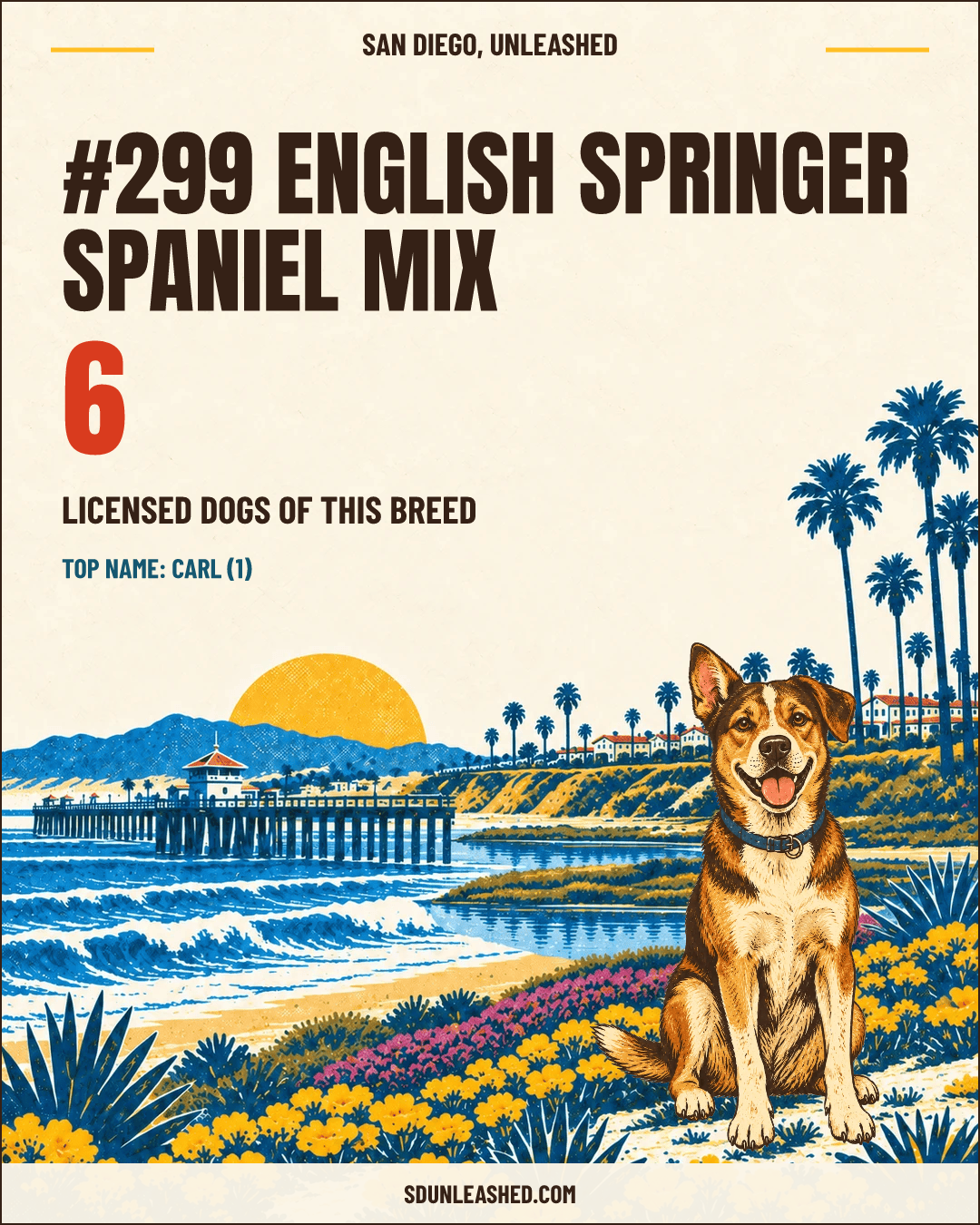 English Springer Spaniel Mix share card