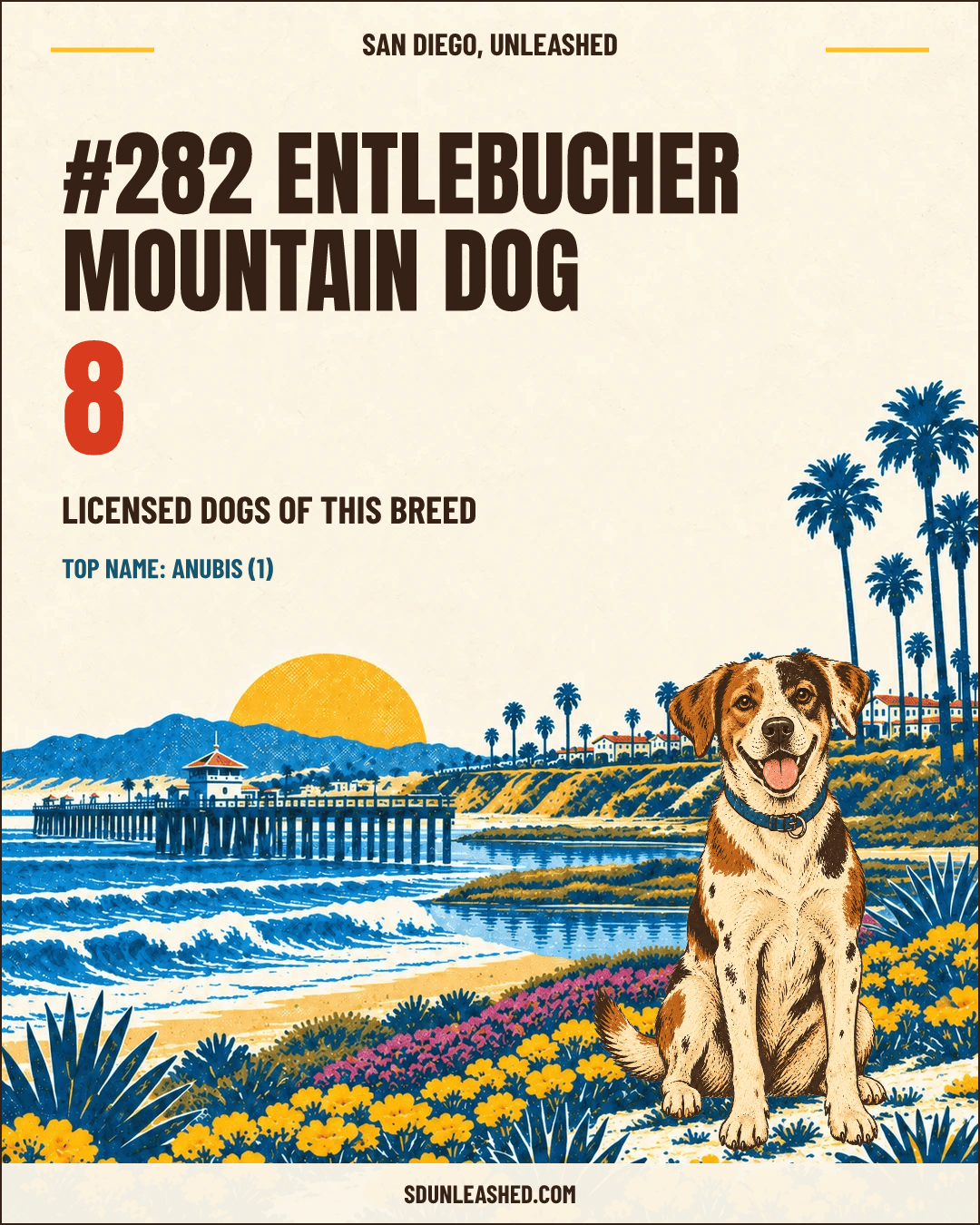 Entlebucher Mountain Dog share card