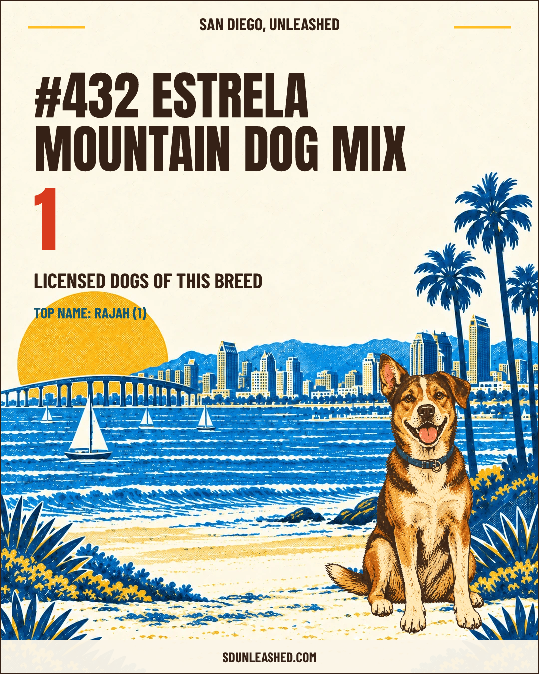 Estrela Mountain Dog Mix share card