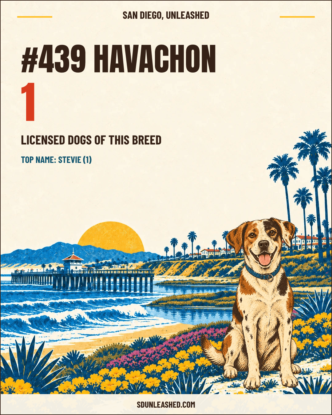 Havachon share card