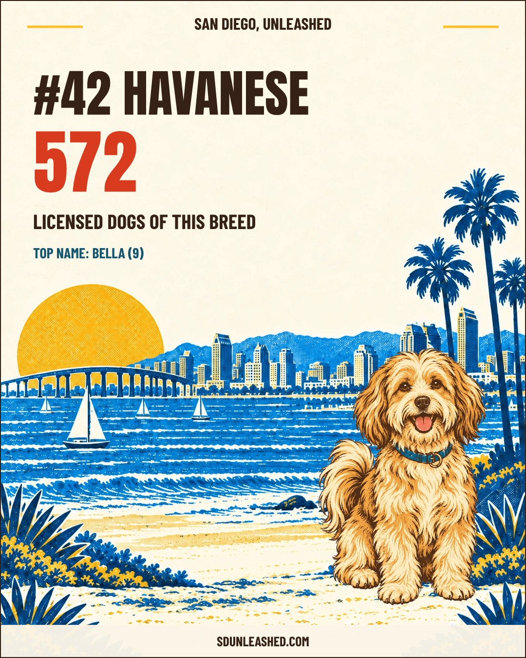 Havanese share card