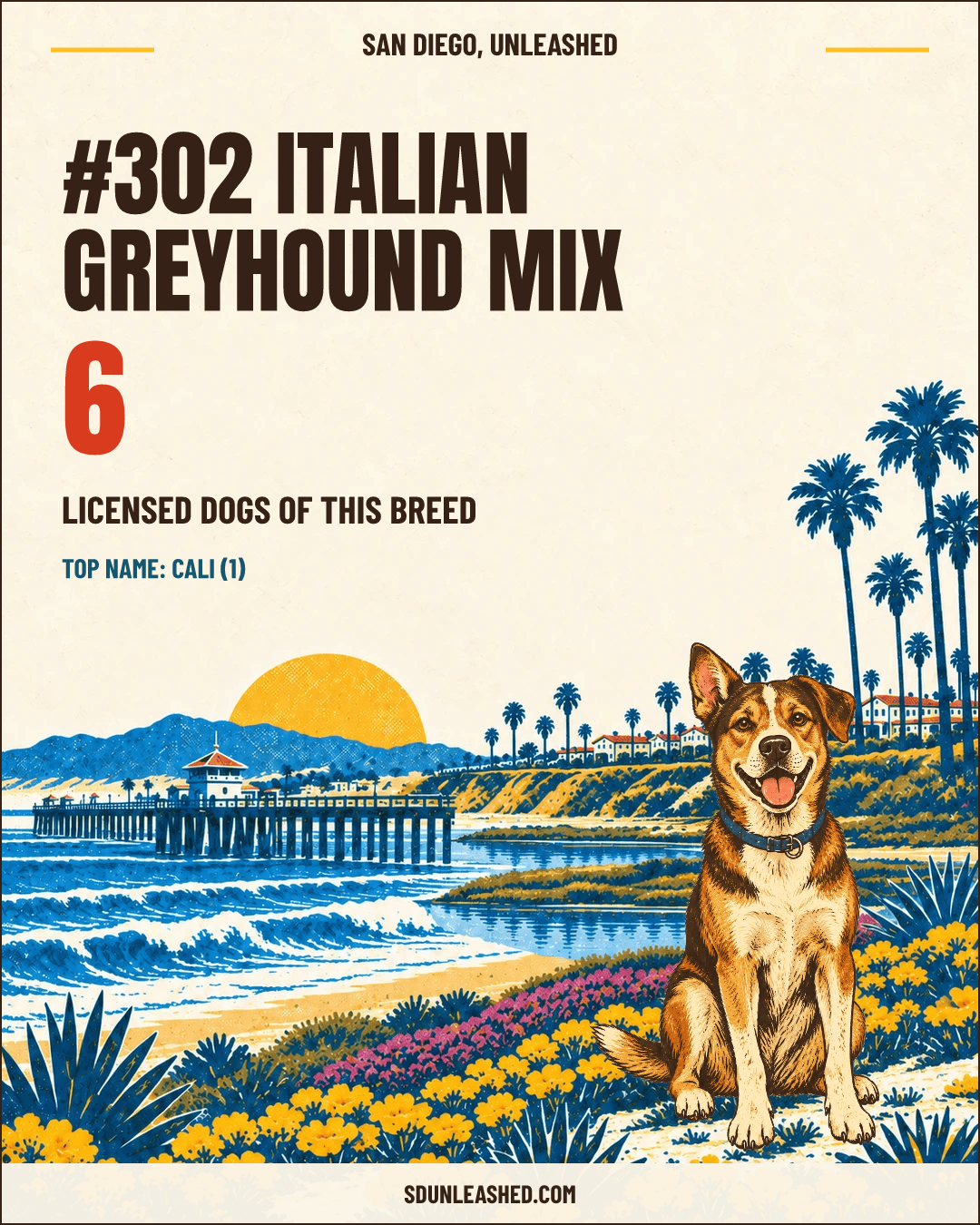 Italian Greyhound Mix share card