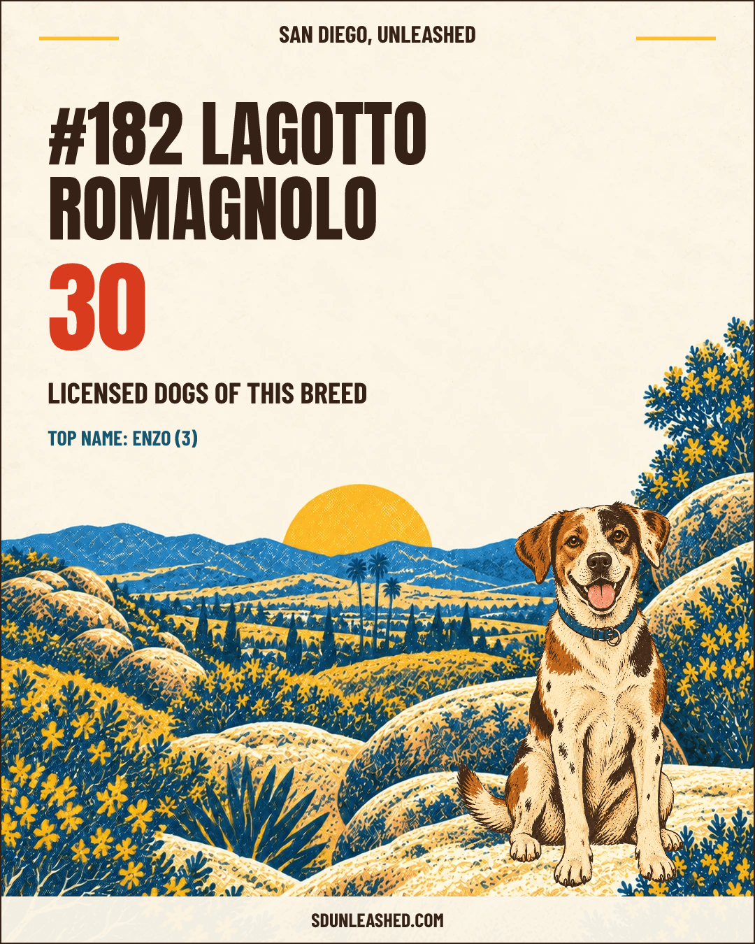 Lagotto Romagnolo share card
