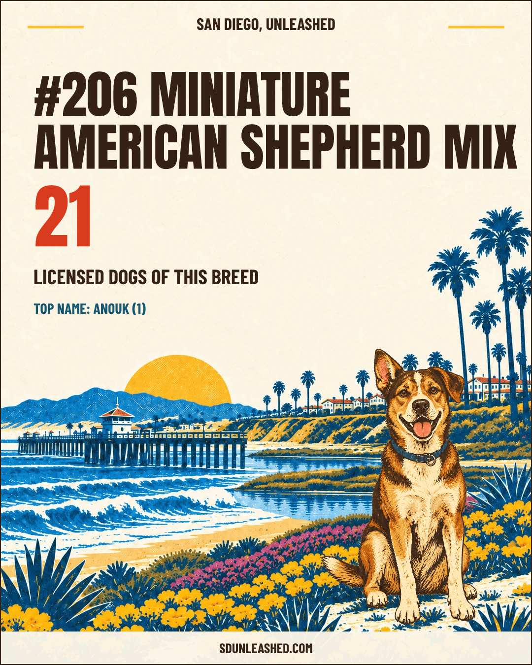 Miniature American Shepherd Mix share card