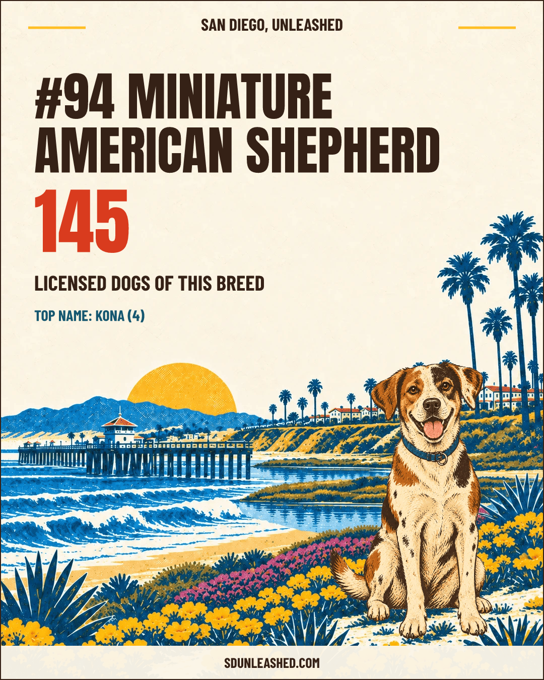 Miniature American Shepherd share card