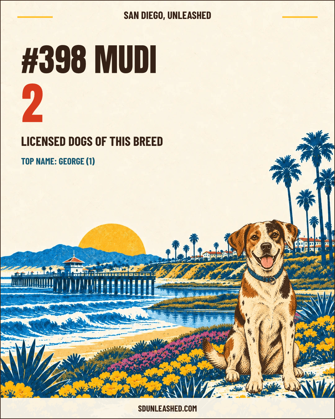 Mudi share card