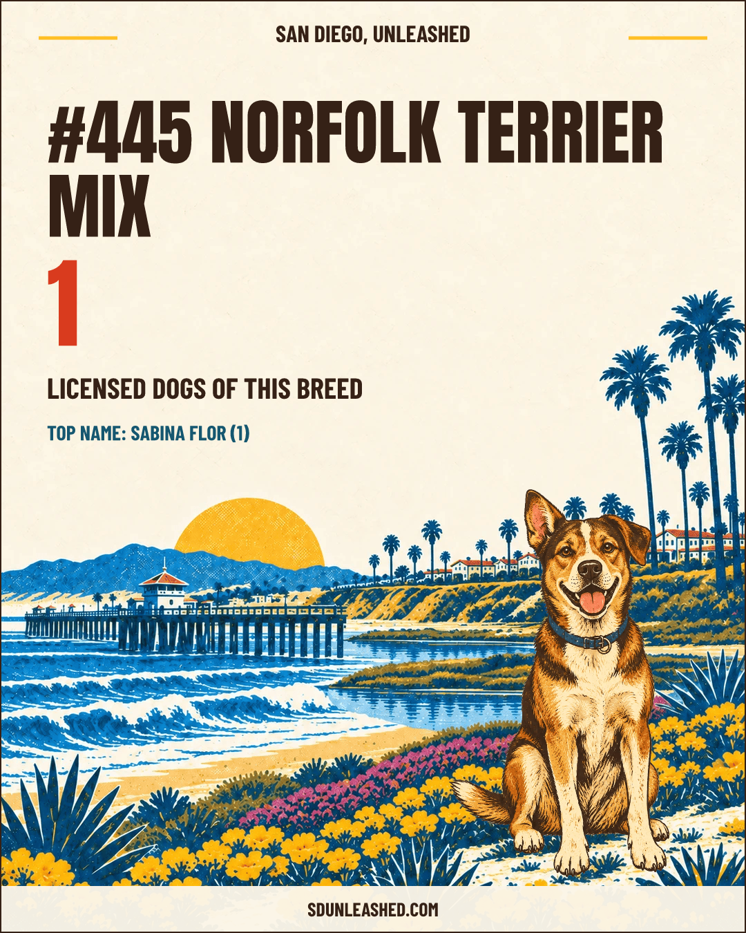 Norfolk Terrier Mix share card