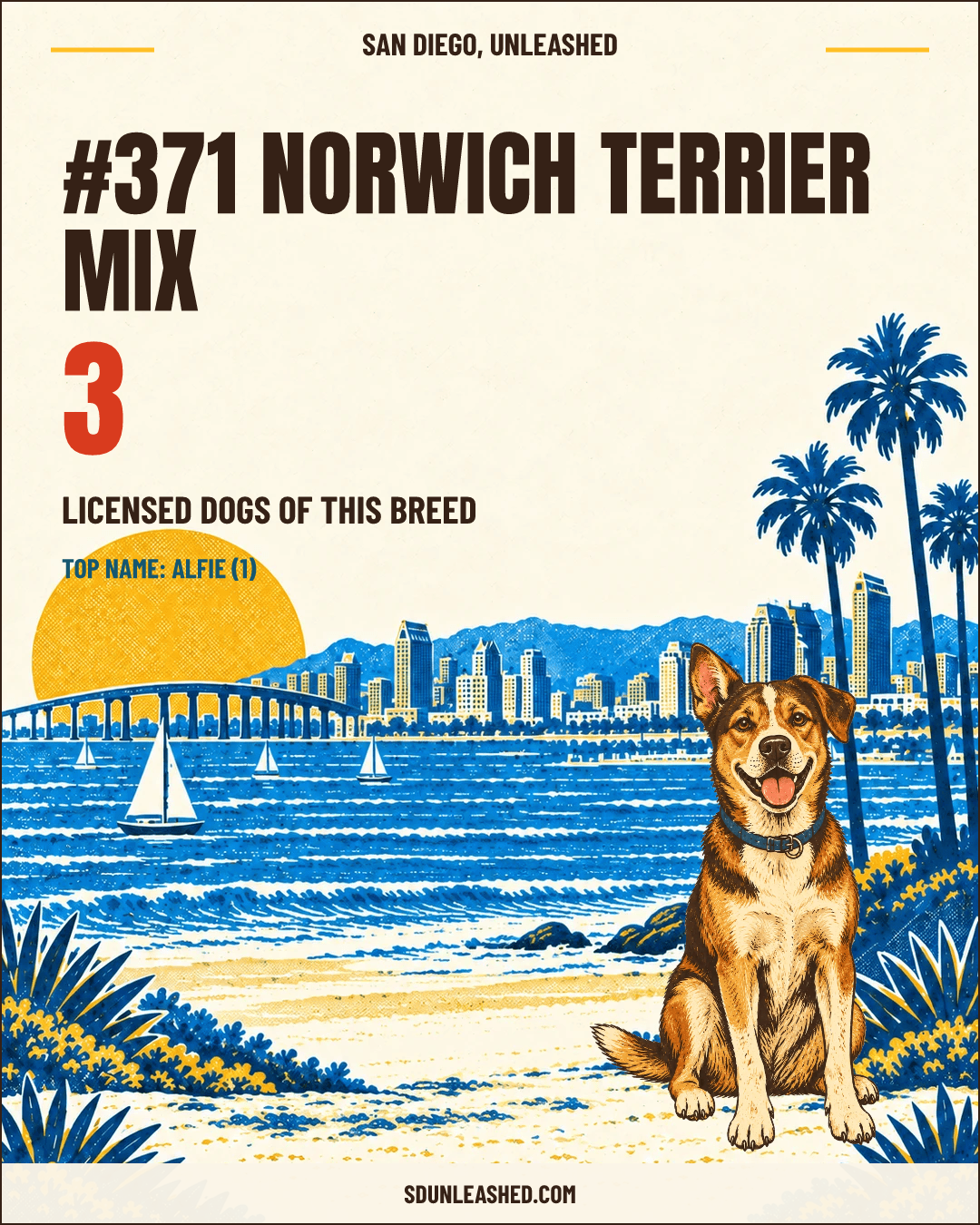 Norwich Terrier Mix share card