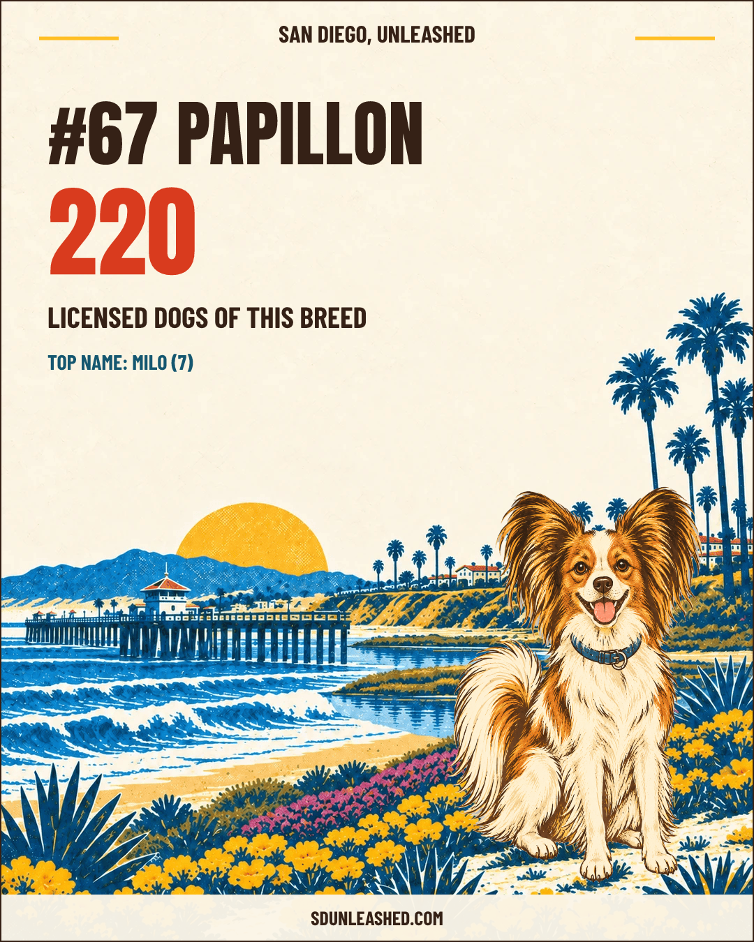Papillon share card