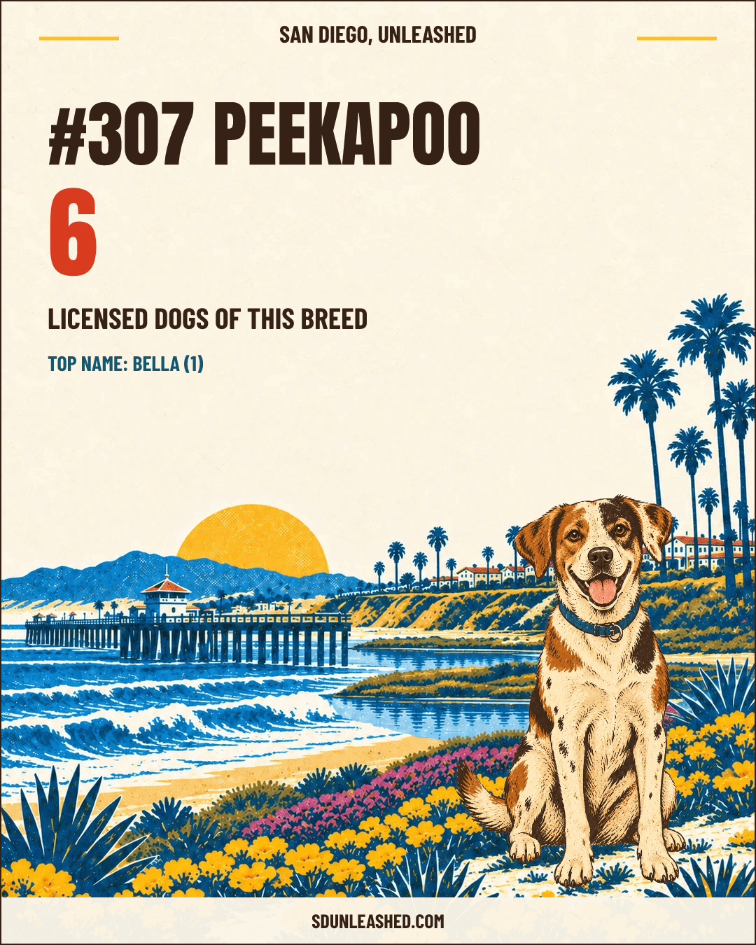 Peekapoo share card