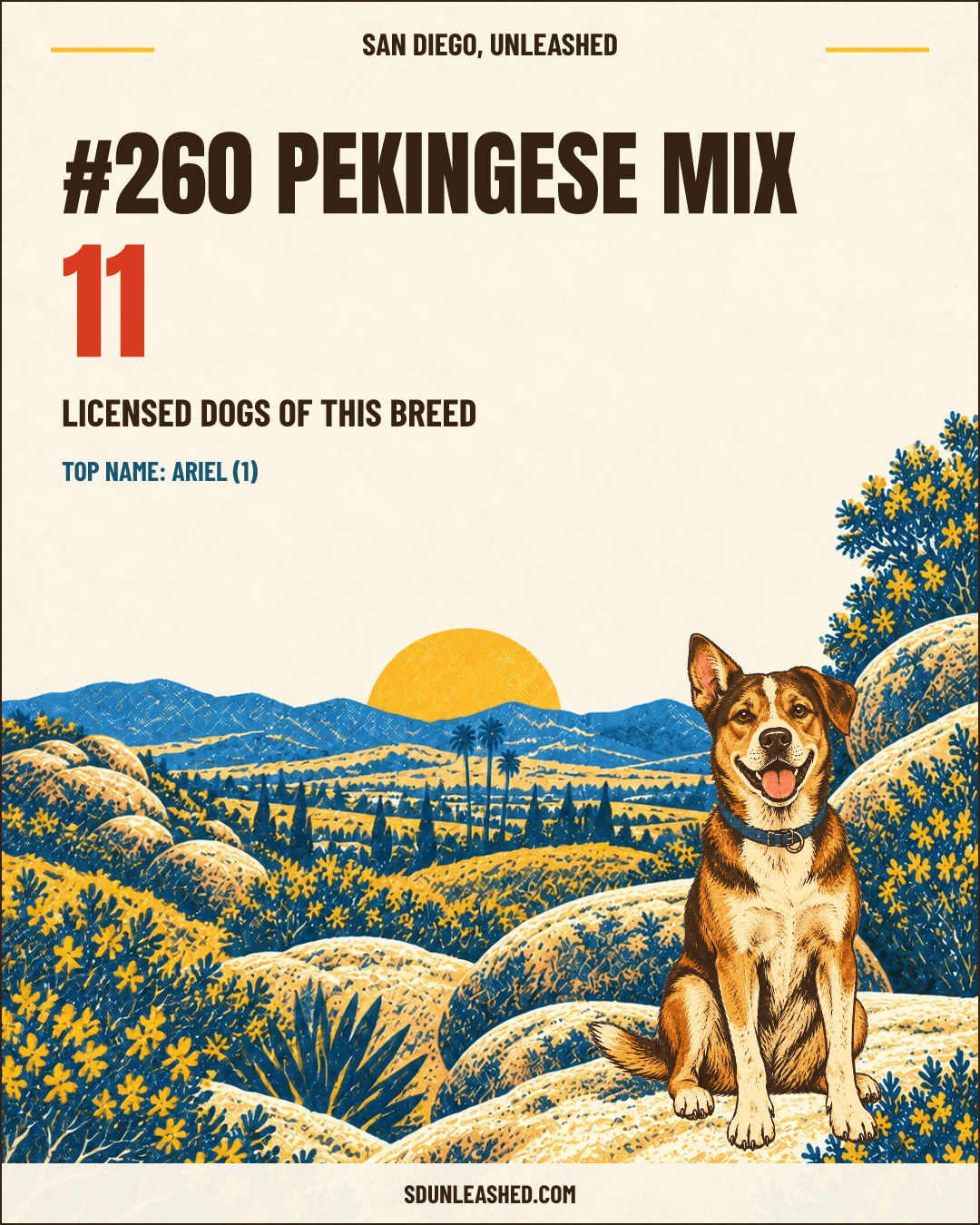 Pekingese Mix share card