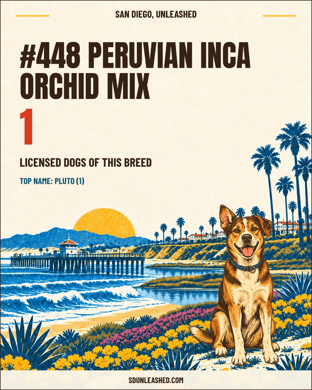 Peruvian Inca Orchid Mix share card
