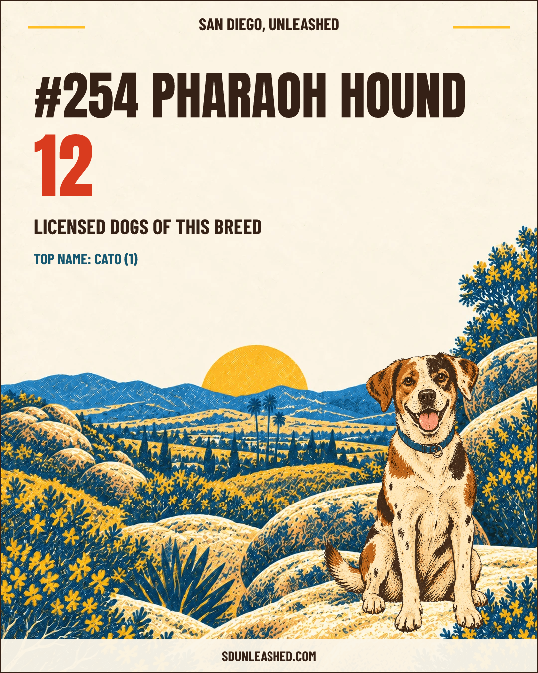 Pharaoh Hound share card