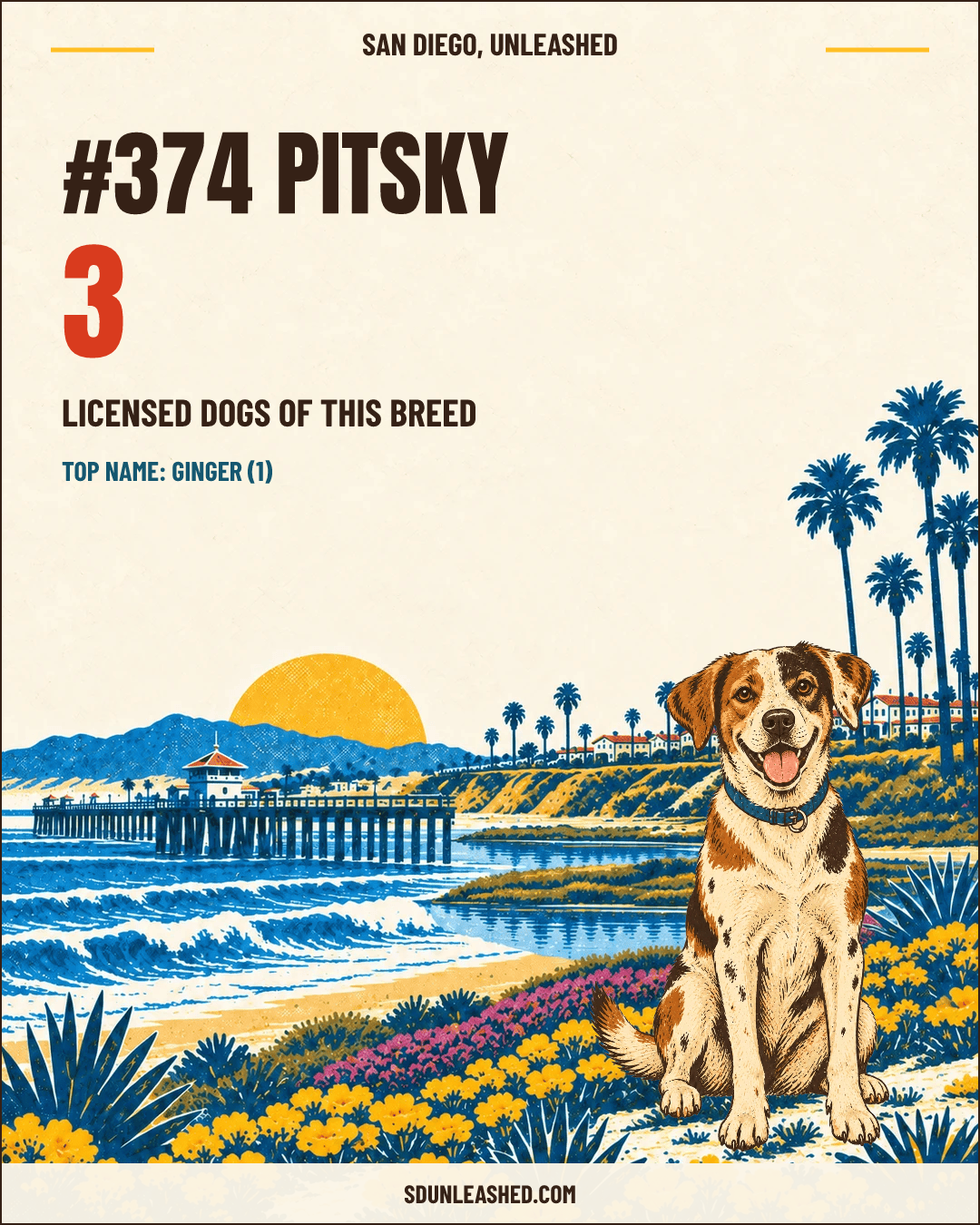 Pitsky share card