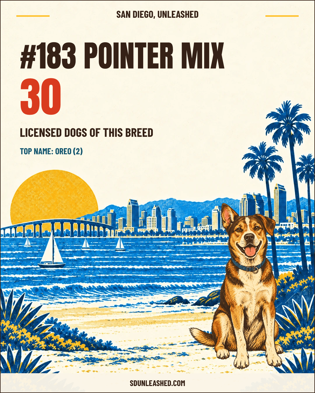 Pointer Mix share card