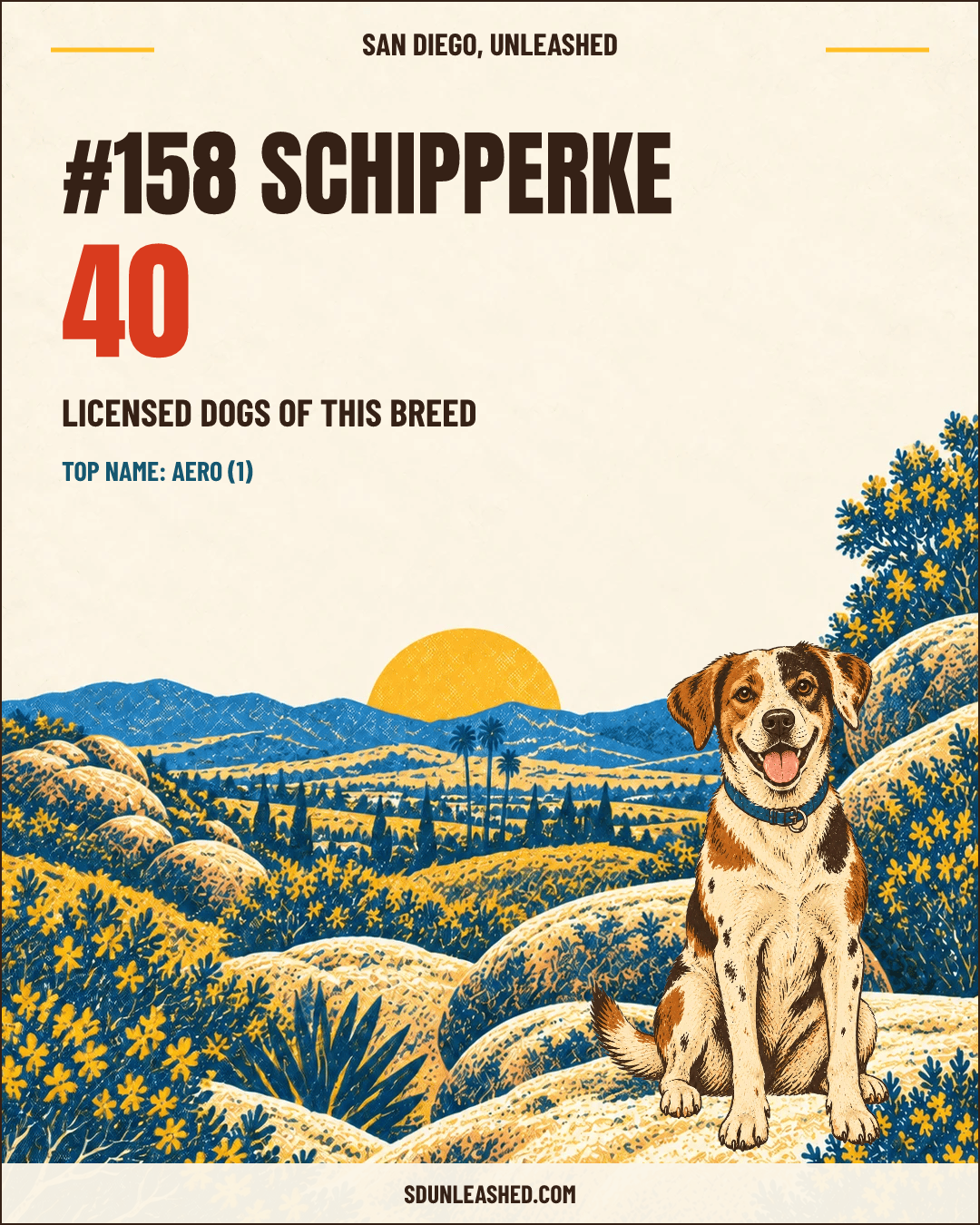 Schipperke share card