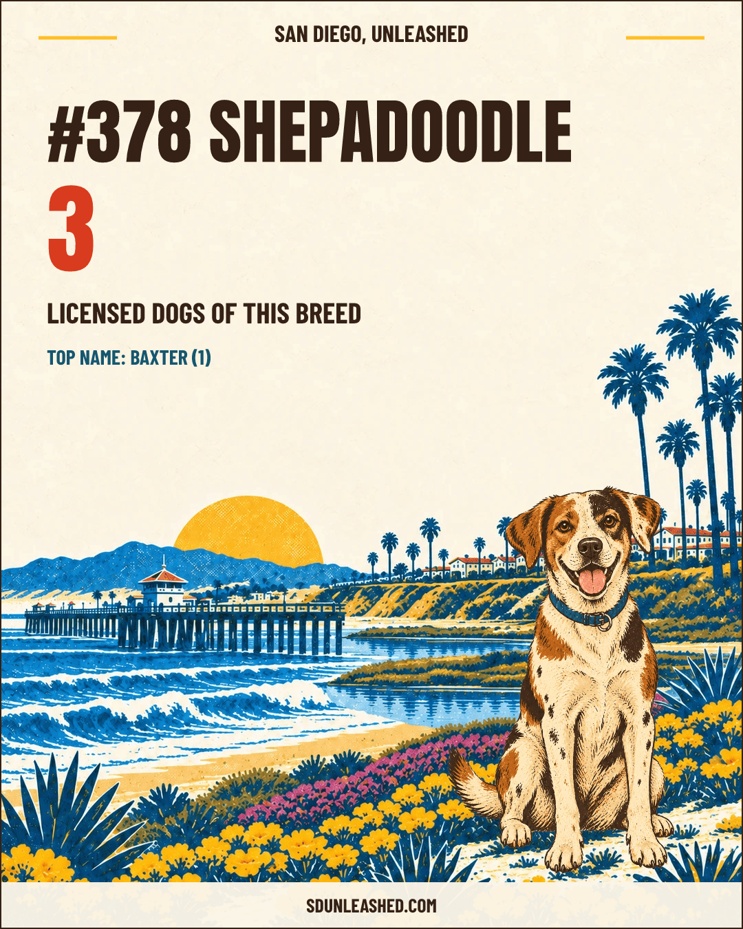 Shepadoodle share card
