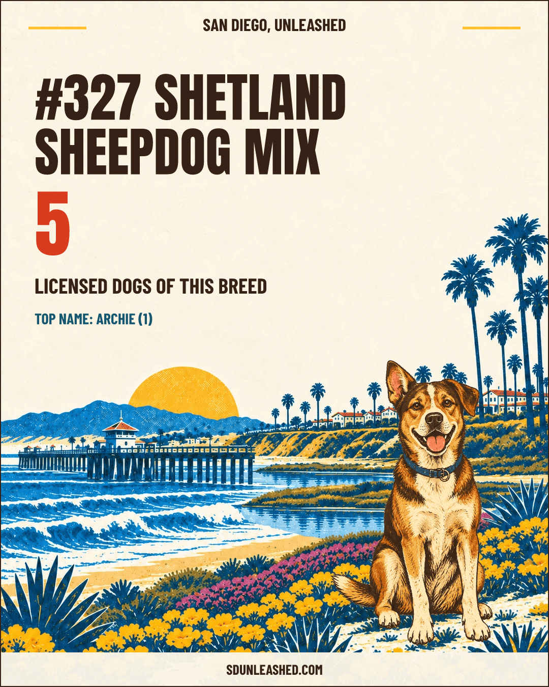 Shetland Sheepdog Mix share card
