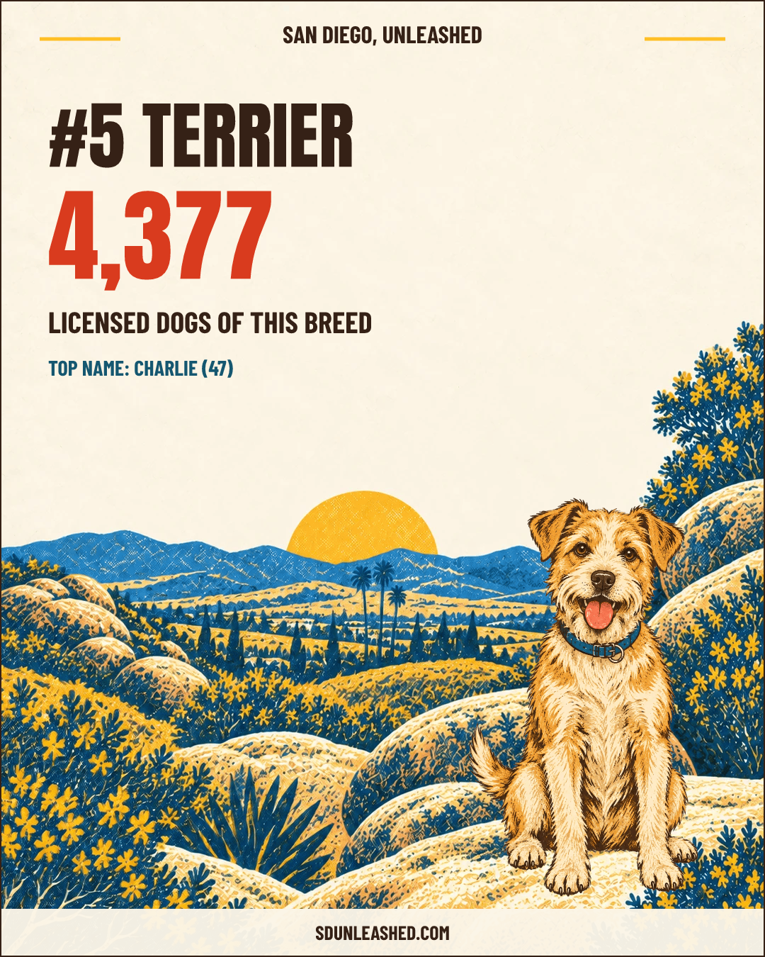 Terrier share card
