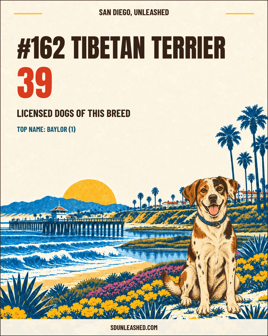 Tibetan Terrier share card
