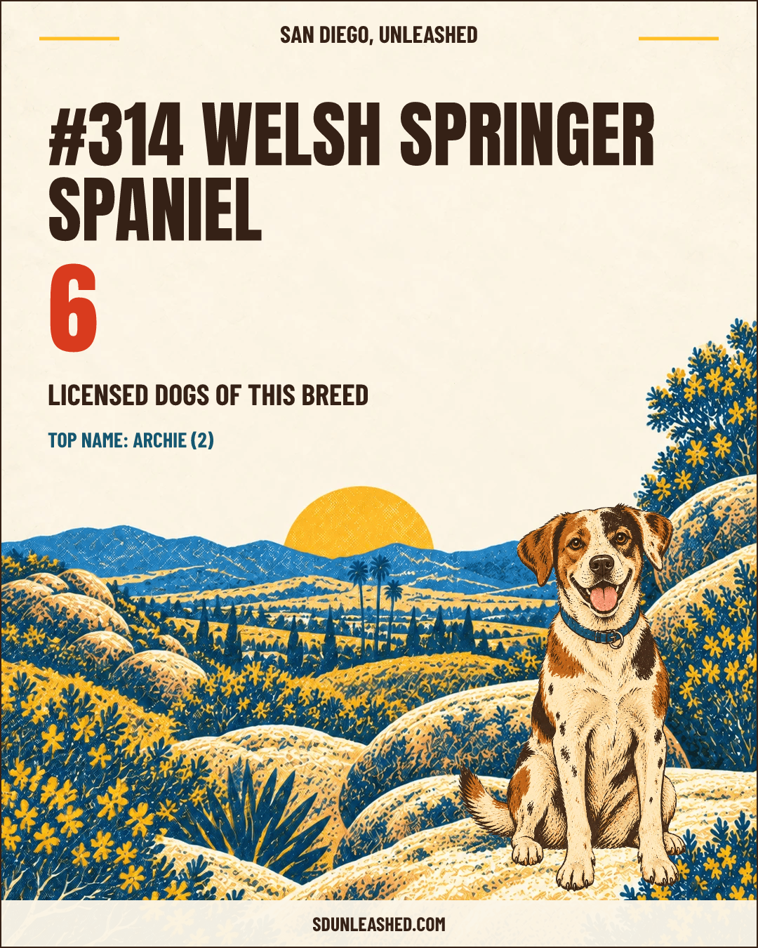 Welsh Springer Spaniel share card