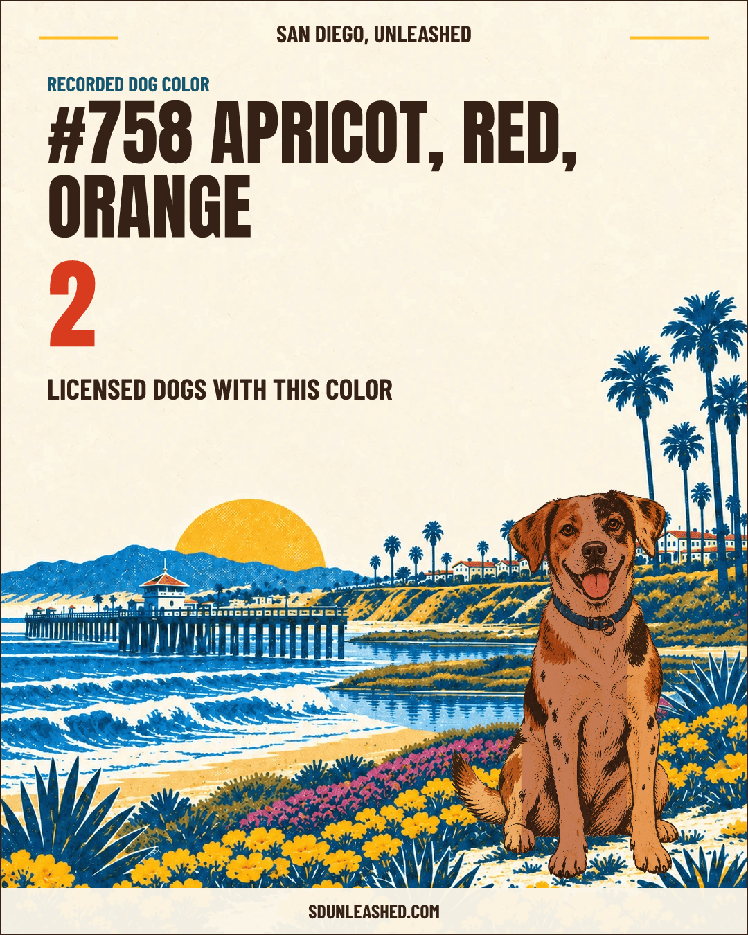 Apricot, Red, Orange share card
