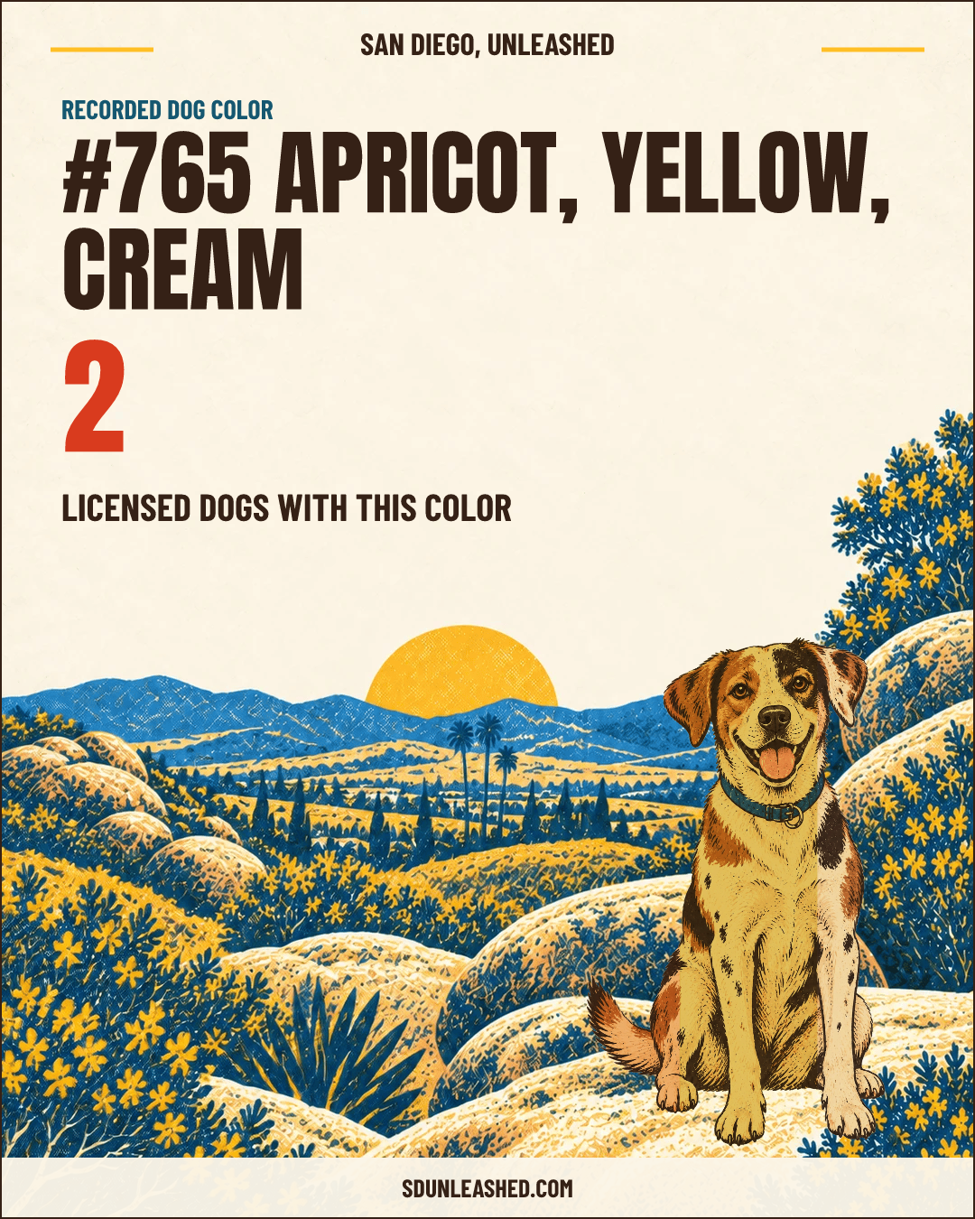 Apricot, Yellow, Cream share card